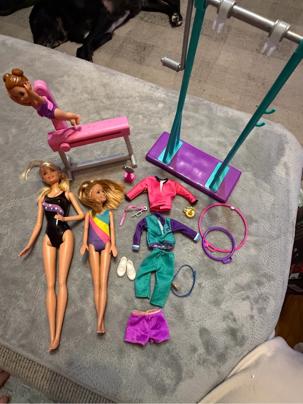 Barbie Team Stacie Gymnastics Coach Doll Lot Bars Beam Accessories